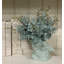 Eucalyptus Arrangement In A Shell Vase.