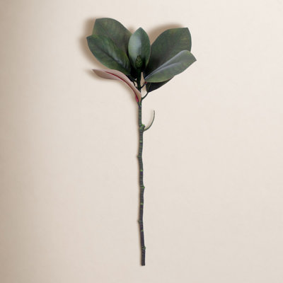 Magnolia Floral Stems