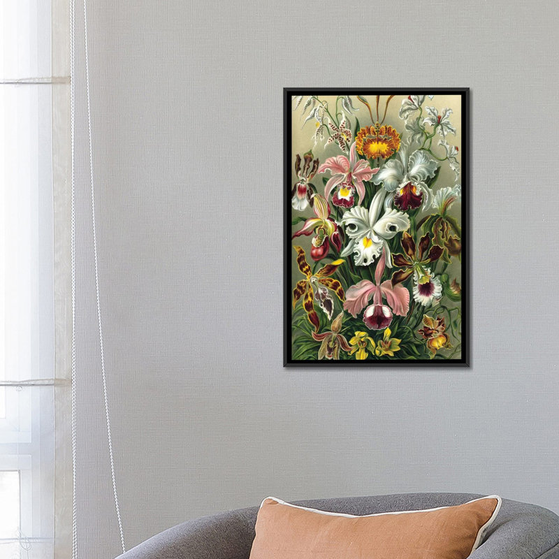 « haeckel orchidées », impression sur toile, H 26 po x l 18 po x P 1,5 po, Toile avec cadre noir, Pas de tapis