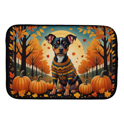Drying Mat