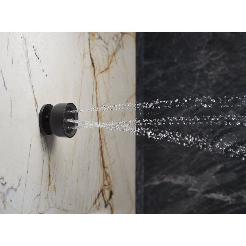 Statement Round Adjustable 2.5 Gpm Body Spray, Matte Black