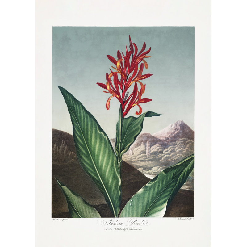 Wrapped Canvas Print, 76.2cm H x 50.8cm W