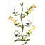 Branche de 6 bouteilles Wild Rose Design