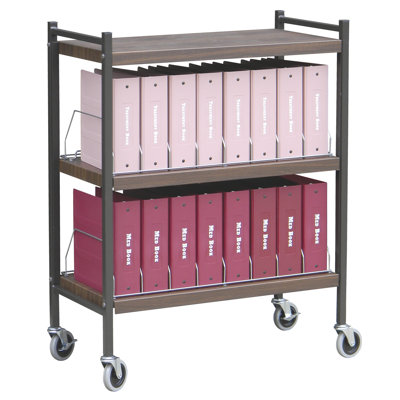 Big Beam 43.75'' H x 34.5'' W File Cart with Wheels