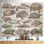 Tortues - impression d'art graphique-34271256-34271258