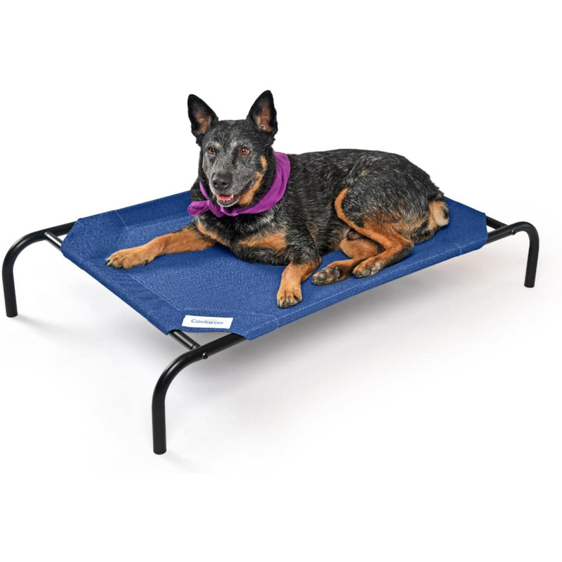 Lit pour chien The Original Cooling, H 8 po x l 25,5 po x P 42 po, Bleu
