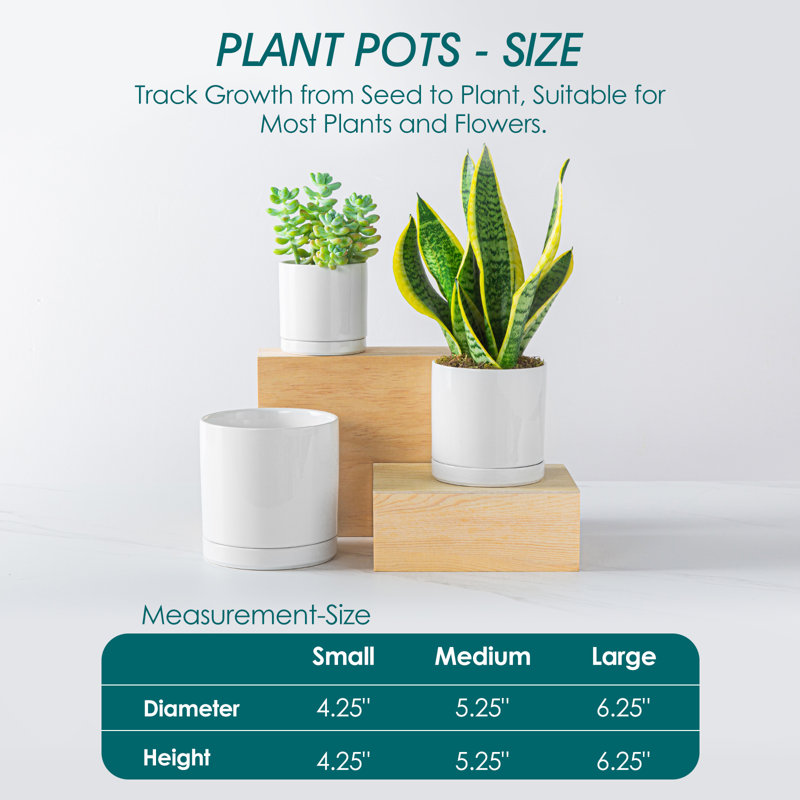 FLHPOT Ceramic Pot Planter, White