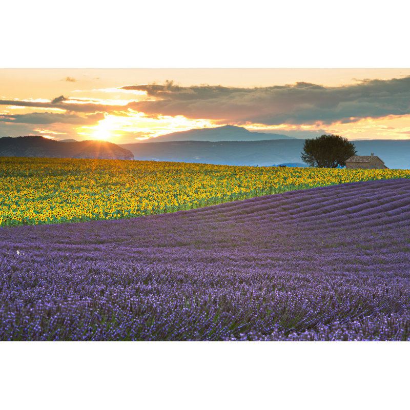 Coucher de soleil par Xavierarnau, H 8 po x l 12 po