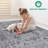 LOOM & LUXE Collection 5X7 Non-Shedding Living Room Bedroom Dining Home Office Stylish And Stain Resistant Area Rug-1048936041
