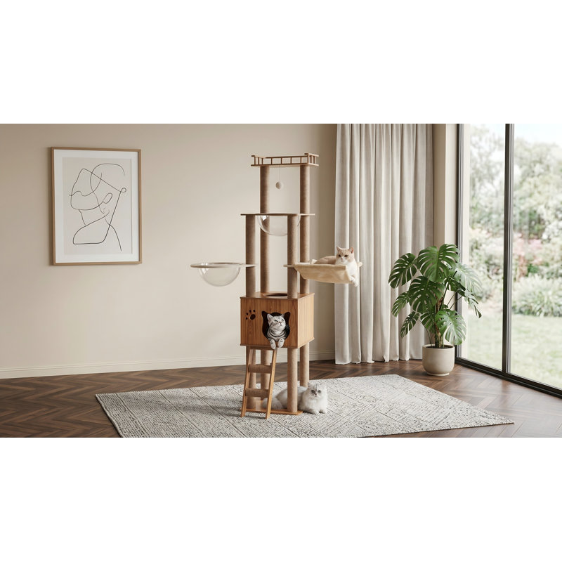 Arbre à chat en bois 61 po, maisonnette pour chat, escalier pour chat, poteau à griffer, 2 bols, poteau à griffer en sisal, hamac douillet, perchoir supérieur, pour grands chats