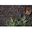 Ensemble de tapis intérieur / extérieur en nylon touffeté à la machine géométrique bourgogne-439627479