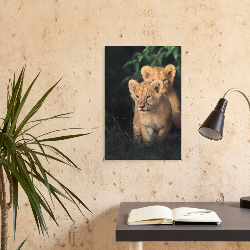 Curious Lion Cubs Peaceful Contemporary Cat Lion Nature Wildlife Wall Art Print by Ahmed Sobhi - Wrapped Canvas Print
