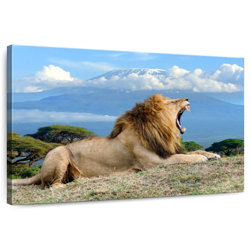Lion rugissant Brampt
