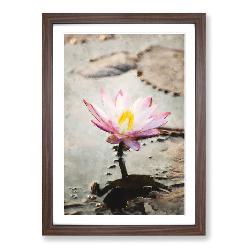 Beauty of a Water Lily - Picture Frame Painting, Walnut Framed, 48cm H x 36cm W x 2cm D