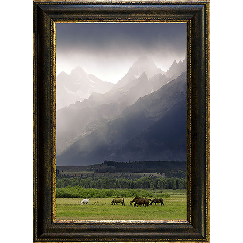 «Rocky Mountain Misty Morning» par Mitch Mansanarez - reproduction de photo sur toile encadrée, H 29 po x l 21 po x P 1,5 po