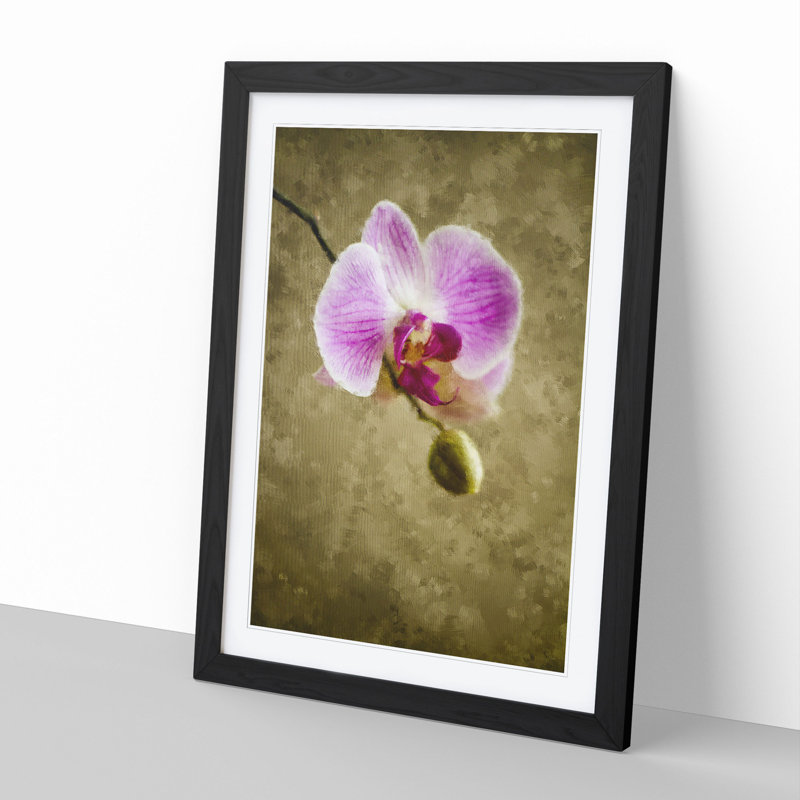 Orchid Flowers Vol.6 - Framed Print, Black Framed, 36cm H x 27cm W x 2cm D