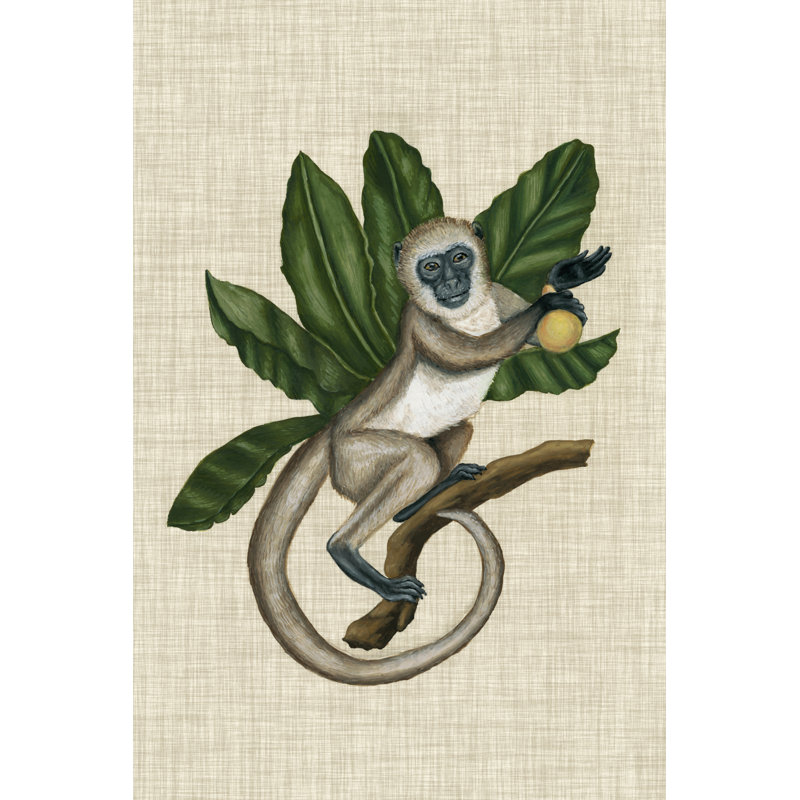 Canopy Monkey III by Naomi McCavitt - Wrapped Canvas Painting, 76cm H x 51cm W