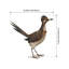 Statue Valero Sienna Roadrunner regardant en métal-1846739936