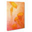 The Orange Jellyfish - Wrapped Canvas-56664751