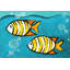 « two fish » par nicola joyner, reproduction d’art sur toile-19669111