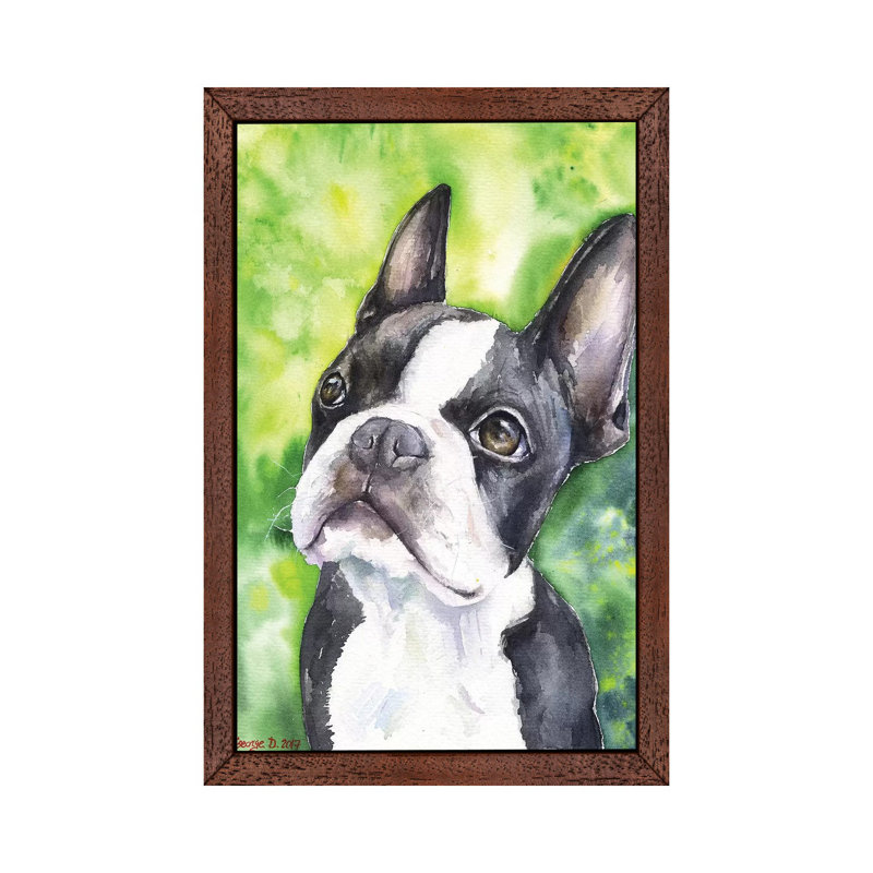 Boston Terrier Portrait - Print on Canvas, 101.6 cm H x 66.04 cm W, Brown Floater Framed