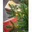 Lighted Artificial Christmas Tree-79928640