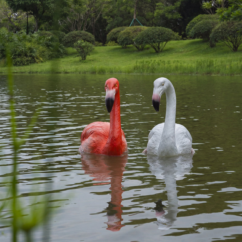 Flamant rouge flottant et blanc