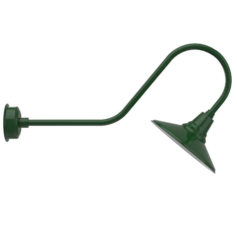 Luminaire de grange d’extérieur à del Albali, H 12 po x l 14 po x P 36 po, Vert rétro