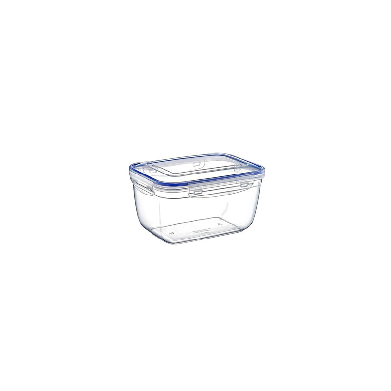 Durable Plastic Storage Box Set (4Ps), BPA-Free, Transparent | Includes Sizes: 9.1 x 5.1 x 6.8 in (3000 ml), 7.9 x 4.4 x 5.7 in (1800 ml), 6.5 x 2.8 x 4.8 in (1000 ml), 5.3 x 3.1 x 3.9 in (550 ml) | Dishwasher Safe, Ideal for Organizing Home & Office