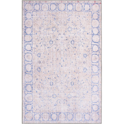 Mcclamma Chenille Oriental Indoor Rug