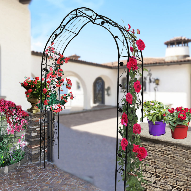 Treillage en fer Elier, Noir, 98.4'' H X 59'' W X 15.35'' D