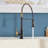 Topcraft Single handle Pull Down Kitchen Faucet-114570783