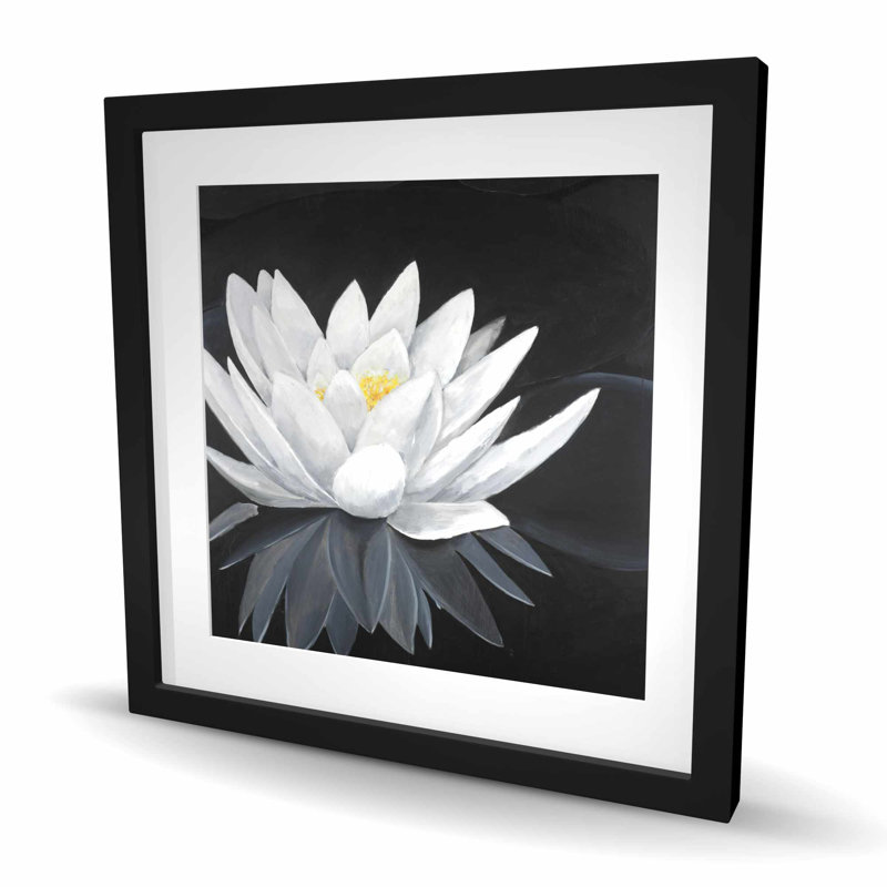 Fleur de lotus avec reflet - chambre noire, reproduction encadrée
