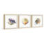 Sea Buddies Triptych par Rachel Byler - Ensemble de 3 reproductions de cadres photo sur papier-24799578-29691100