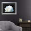 « white rose ii », reproduction d’impression sur toile encadrée-2108855625-2108855627