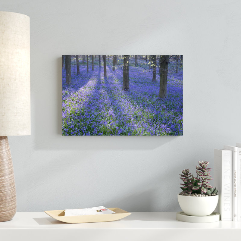 Bluebell Dreams II, H 12 po x l 18 po