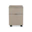 Paloma 2-Drawer Vertical File Cabinet