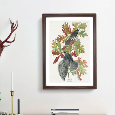 Canada Jay Birds by John Audubon - Picture Frame Painting Print