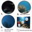Coral Underwater Paradise - Beach and Ocean Wall Art Living Room-95884641-95884642