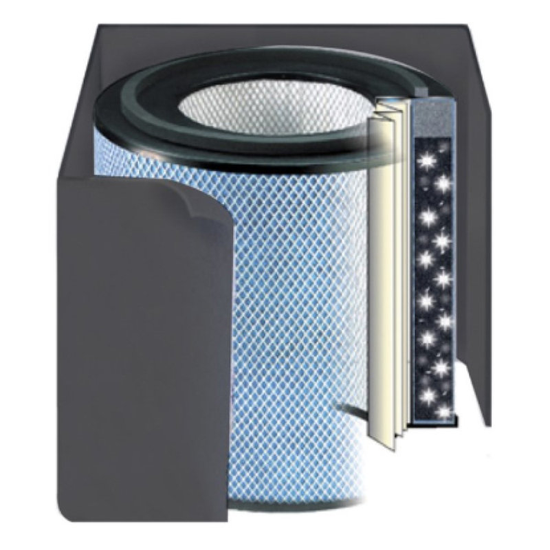 Filtre de rechange pour machine Austin Air, noir