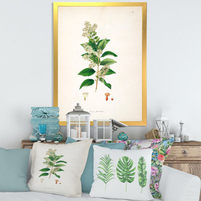 Vintage Botanicals XVII - Peinture sur toile