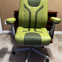 igo Low Back Game Chair with Air Cushion by igo & Reviews