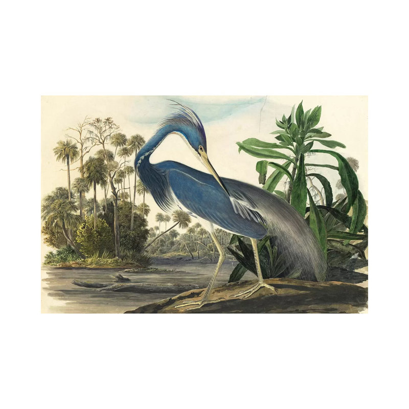 Blue Heron by Vintage Apple Collection - Wrapped Canvas Painting, 66.04 cm H x 45.72 cm W x 3.175 cm D
