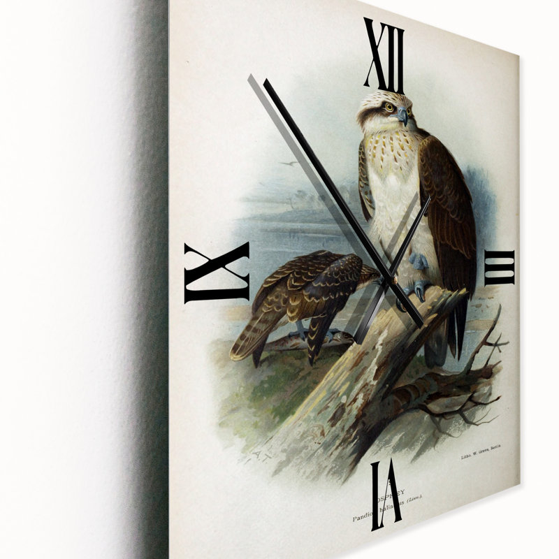 Horloge murale Bird Life VI, Petit
