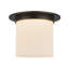 Mineral 11-in Brass Flush Mount-204888996-204888997