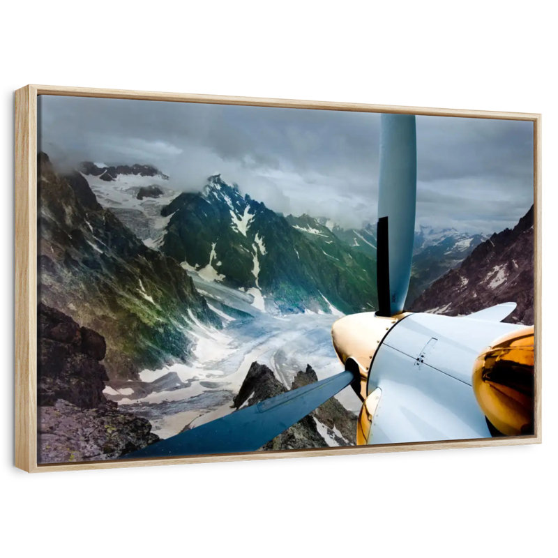 Beauté de l'aviation, Cadre flottant en bois naturel, 40 po x 27 po