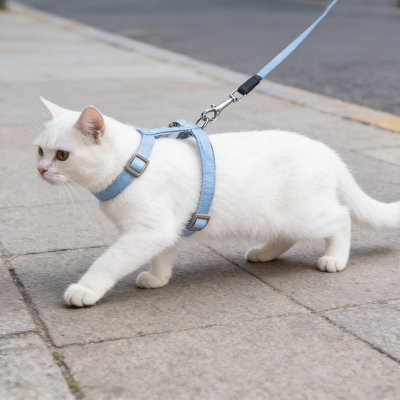 Harnais pour chat en forme de H Gradient, 49,21 po x 0,394 po, bleu