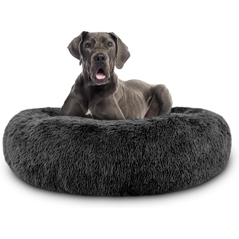 Pet Bed