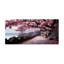 Art du Japon, chemin de fleurs de cerisier rose - Art encadré-157170734-69948019