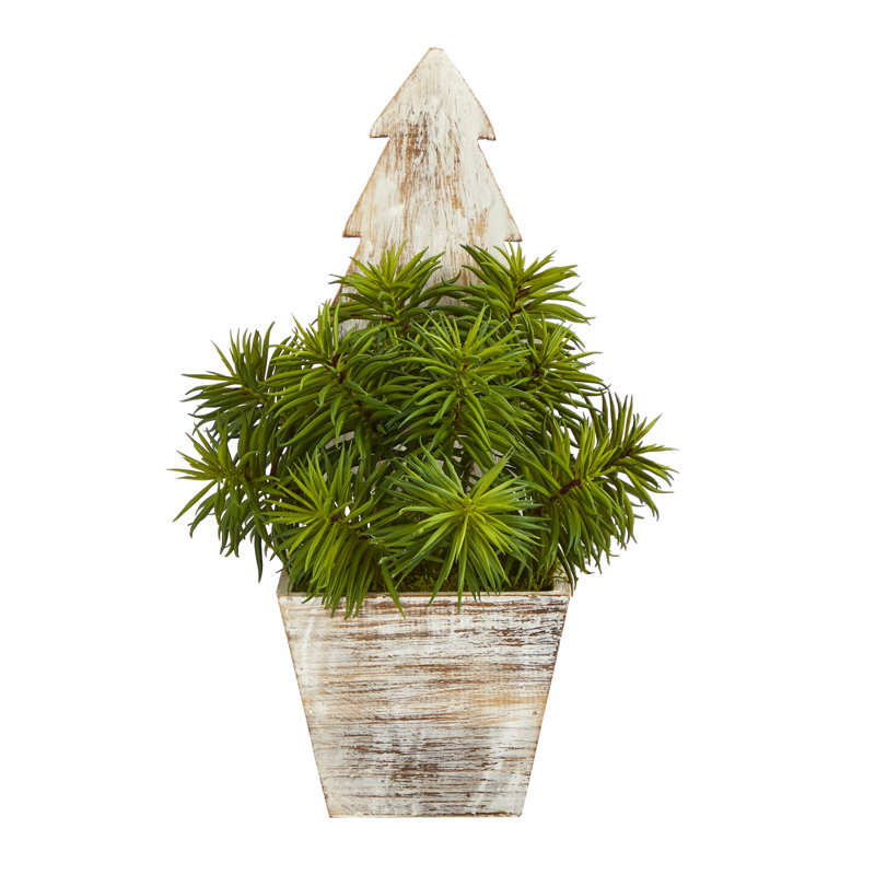 15 " H Faux Succulent